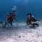 Student Divers